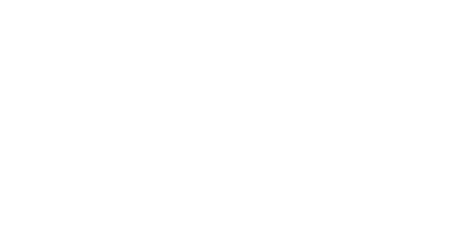 SW Project